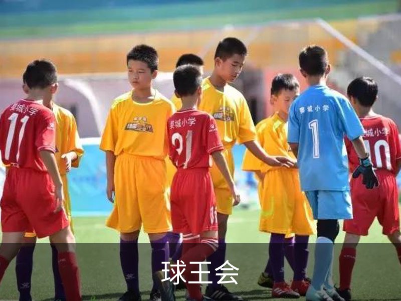 了解球王会